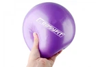Мяч для пилатеса, йоги и реабилитации EasyFit 25 см - для фитнеса и тренировок EF-1221 фиолетовый