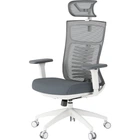 Крісло офісне OfficePro Balance OC550-W-DG-DG