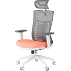 Офисное кресло OfficePro Balance OC550-W-DG-OR