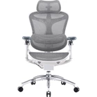 Офисное кресло Sihoo DORO C300 Pro Mesh White (DORO-C300-PRO-M102) [167666]