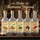 Подарочный набор для настоек Гостинна Україна 5 бутылок по 500 мл в коробке