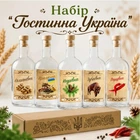 Подарочный набор для настоек «Гостинна Україна» 5 бутылок по 500 мл в подарочной коробке
