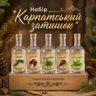 Подарочный набор для настоек «Карпатский уют» 5 бутылок по 500 мл в подарочной коробке