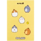 Блокнот Kite Molang ML25-193, термобиндер, А5, 64 листа, нелинованный
