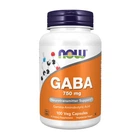 Амінокислота Now Foods GABA Гамма-аміномасляна Кислота 750мг