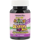 Дитячі пробіотики Nature's Plus Animal Parade AcidophiKidz, вишневий смак, 90 жувальних цукерок у формі тварин