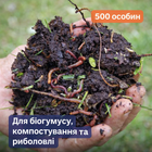 Маточник каліфорнійського черв'яка 500 шт для розведення, черв'як старатель для біогумусу, компосту та риболовлі
