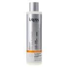 Шампунь для фарбованого волосся Kayan Professional BB Silk Hair Shampoo 400ml