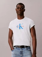 Футболка хлопковая длинная мужская Calvin Klein 4RB861G-CHE(Misty Blue) XL Светло-голубая (196669614570)