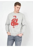 Світшот на флісі H&M XXL Сірий 0715273_черв.дракон