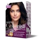 Краска Master Colorist для воло