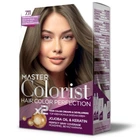 Краска Master Colorist для воло