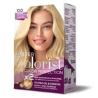 Фарба Master Colorist для воло