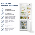 Холодильник Electrolux ENT6NE18S (m510151)