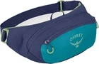 Поясная сумка Osprey Daylite Waist для путешествий и каждый день нейлон 200D крепление для ключей Blue Spikemoss/Alkaline
