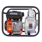 Мотопомпа бензиновая для чистой воды SEQUOIA SPP1000