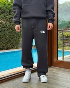 Мужские спортивные брюки зе норт фейс однотонные графит The North Face S (369837)