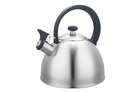 Чайник нержавеющий Basic 2.5 л MR-1302 (MR-1302)