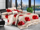 Комплект постільної білизни Tag Tekstil полікоттон 2 сп. (BR-7036)