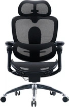 Кресло офисное Sihoo DORO C300 PRO V2 Black (C300-PRO-V2-B101)