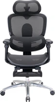 Кресло офисное Sihoo DORO C300 LITE V2 с подставкой для ног Black (C300-LITE-V2-B101-JT)