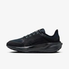 Кросівки жіночі Nike Pegasus 41 Gore-Tex 39 Чорний FQ1357-001