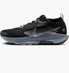 Кроссовки мужские Nike Pegasus Trail 5 Gore-Tex Black 42 Черный FQ0908-001