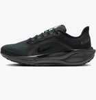 Кросівки для бігу чоловічі Nike Air Zoom Pegasus 41 Gore-Tex 42 Чорний FQ1356-001