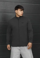 Олимпийка мужская стаф темно-серая с логотипом спортивная Staff sp logo dark gray M (404592)