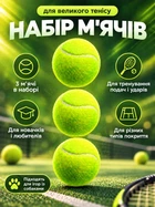 Набір м’ячів для великого тенісу 3 шт Newt SWDN Tennis Ball NE-TT-3
