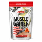 Гейнер Sporter Muscle Gainer