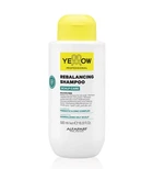 Шампунь подвійної дії SCALP BALANCE Yellow 500 мл