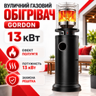 Газовий обігрівач для вулиці Gordon 13 кВт на пропані та бутані Вуличний нагрівач із живим полум'ям сталевий