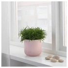 Крышка для горшка GRADVIS IKEA 604.140.78