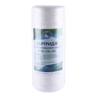 Картридж шнурковый BioSystems PPW-10L-LN (50 мкм) BigBlue 10"