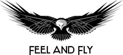 Feel and Fly