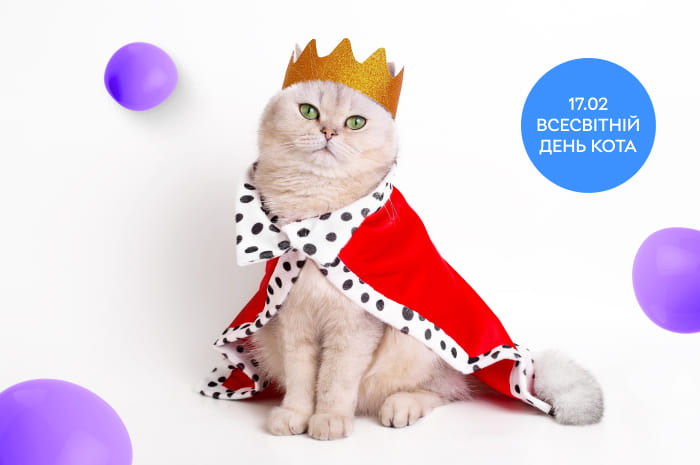 🐱 Час на розпещення! Cпеціальна пропозиція до Всесвітнього дня Кота! 🐾