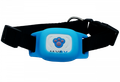 GPS нашийники для собак